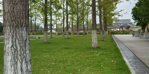 屏山縣馬湖公園