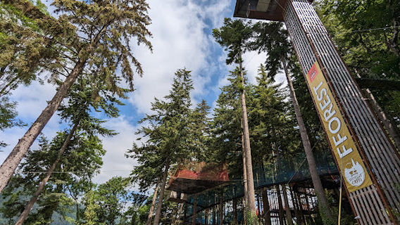 Zip World Betws-y-Coed