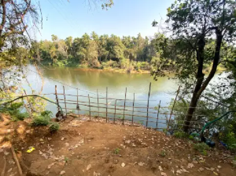 クロコダイル・ポイント, インシュリ