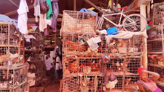 Owino Market/Kampala