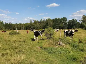 Helvetets håla