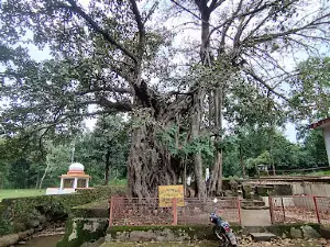 सरभंगा वॉटरफॉल