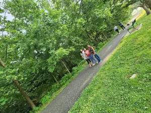 Siloam Springs city Skatepark