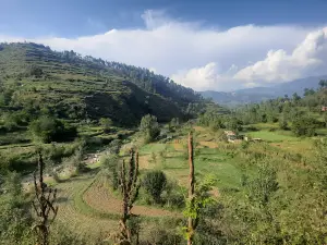 CHATTAR PLAIN HEIGHTS