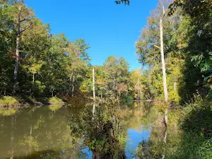 Line Creek Nature Area