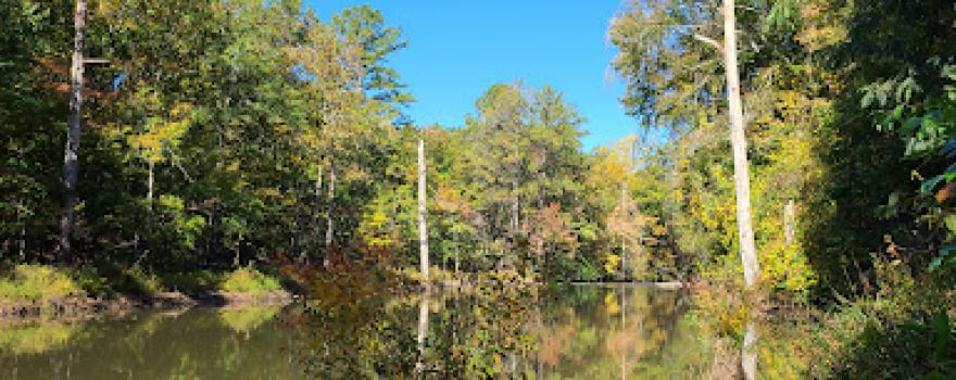 Line Creek Nature Area