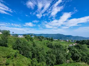 Ilam View Tower