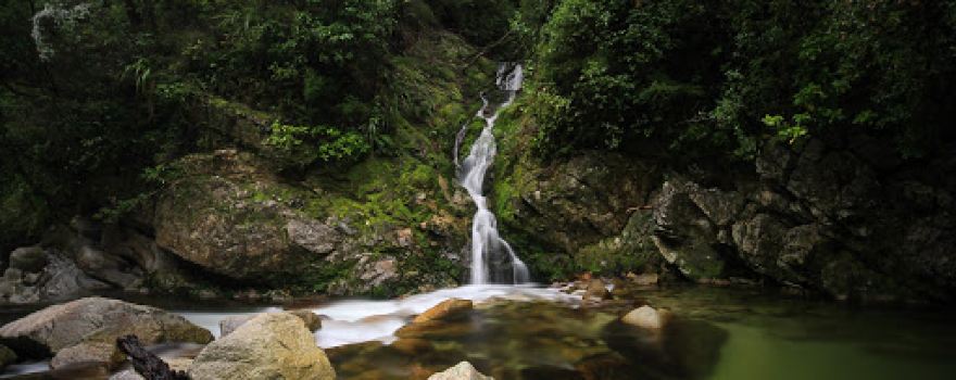 Wainui Falls