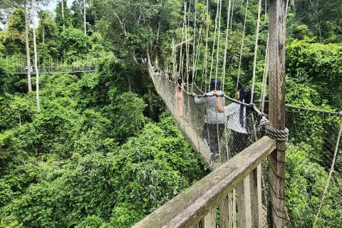 卡庫姆國家公園