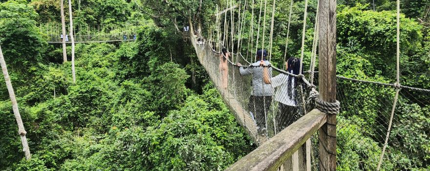 卡庫姆國家公園