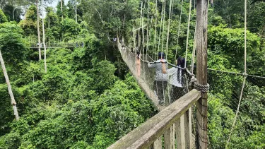 Kakum National Park