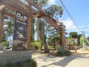 Pinar del Norte