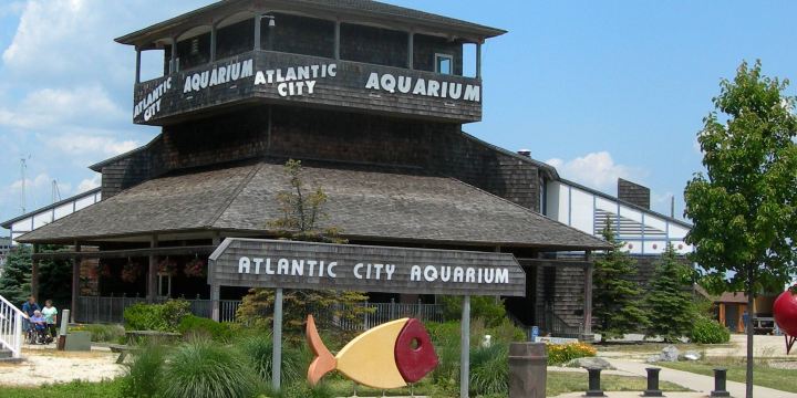 Atlantic City Aquarium