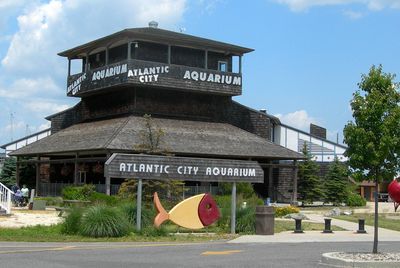Atlantic City Aquarium