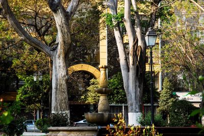 Plazuela Sucre