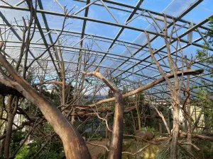 Zoo Arche Noah