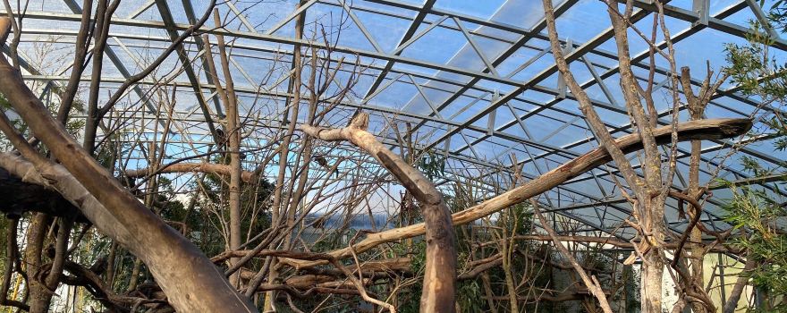 Zoo Arche Noah