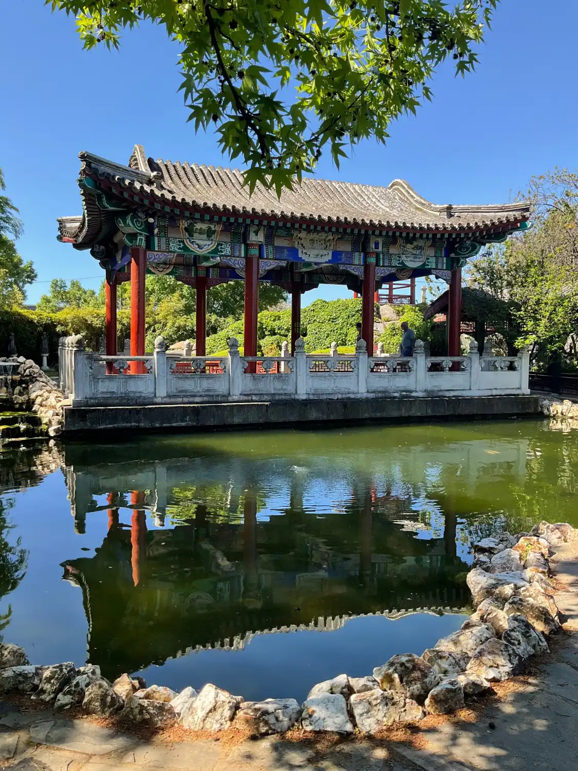 Hotels near Golden Dragon Museum