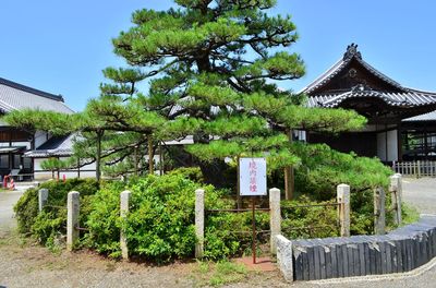 Daitsu-ji Temple