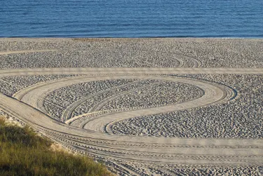 Savannah Beach