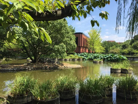 2_久留米市美術館（石橋文化中心 文化館）