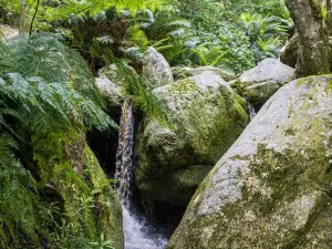 Marloth Nature Reserve