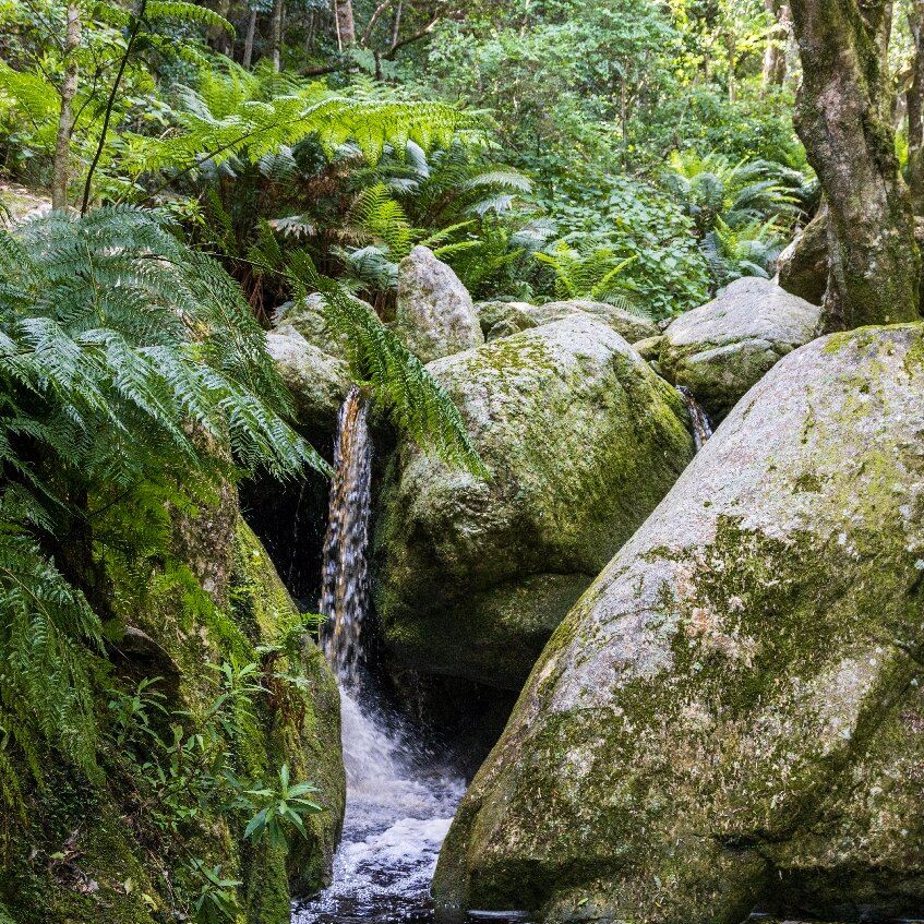 Marloth Nature Reserve
