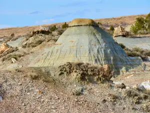 Petrified Forest Loop