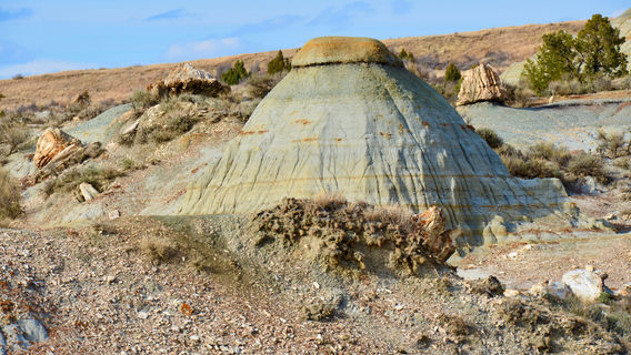 Petrified Forest Loop