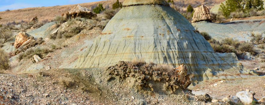 Petrified Forest Loop