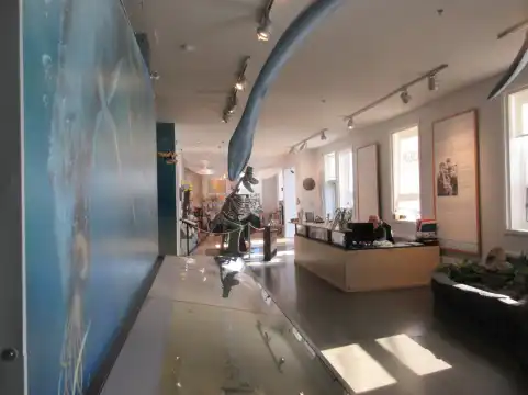 Hotel berhampiran Courtenay & District Museum