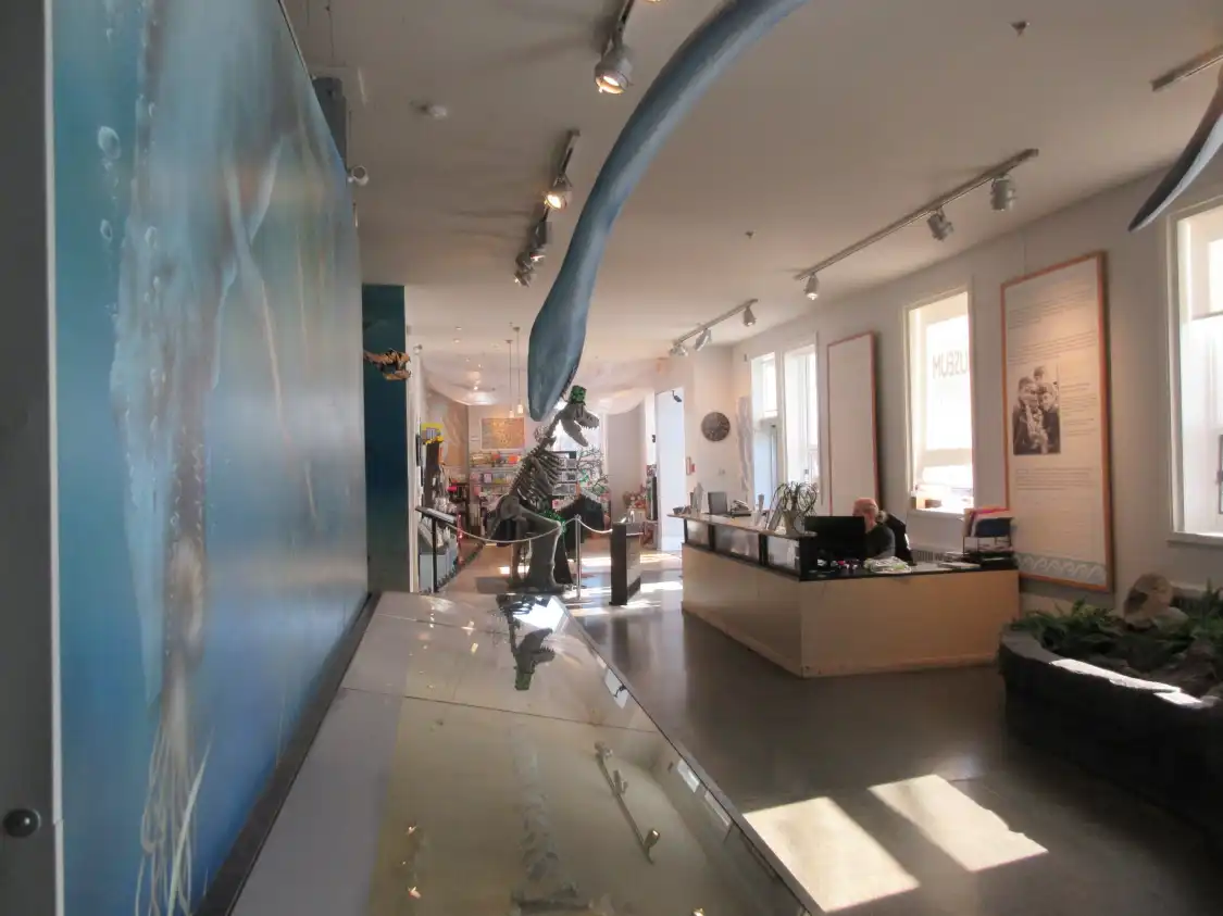 Отели рядом с достопримечательностью «Courtenay & District Museum & Paleontology Centre»