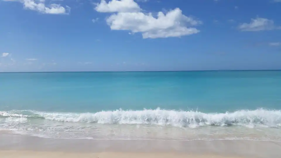 5_Low Bay