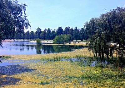 Tangamanga Park
