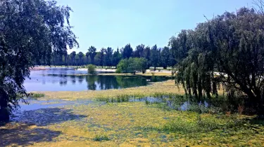 Tangamanga Park
