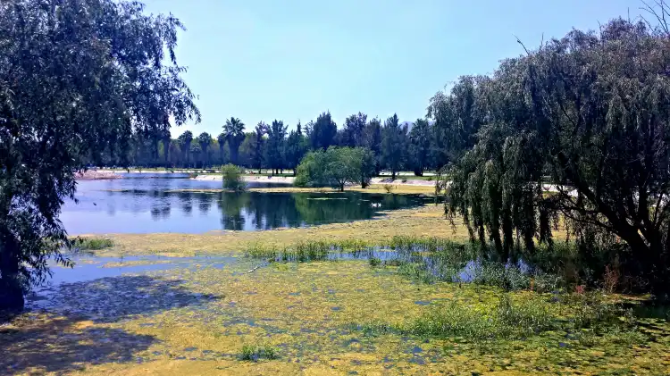 Hotels near Tangamanga Park