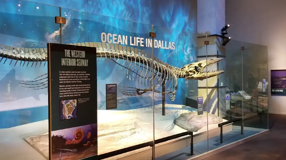 Hotels near Perot Museum of Nature and Science
