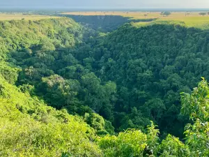 Kyambura Gorge