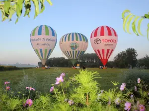 Montgolfiere Centre Atlantique