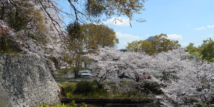 Kurume Castle Ruins
