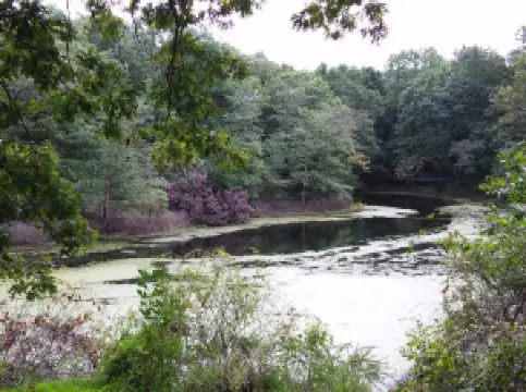 パーシング州立公園