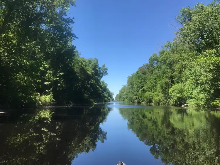Camden County