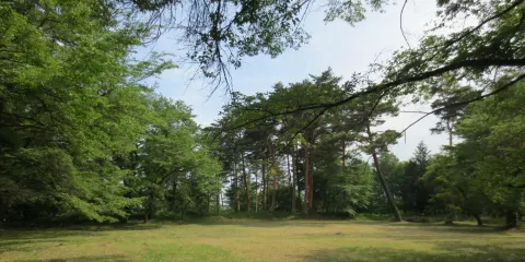 Site of Shinpu Castle