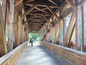 Kicking Horse Pedestrian Bridge