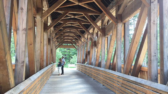 Kicking Horse Pedestrian Bridge