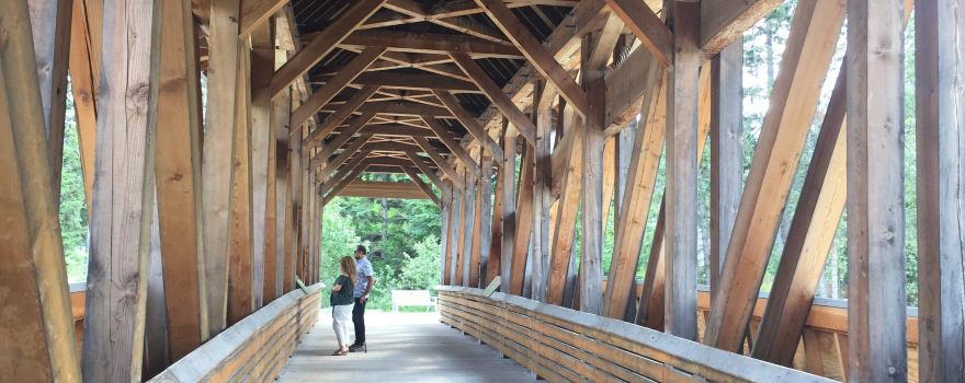 Kicking Horse Pedestrian Bridge