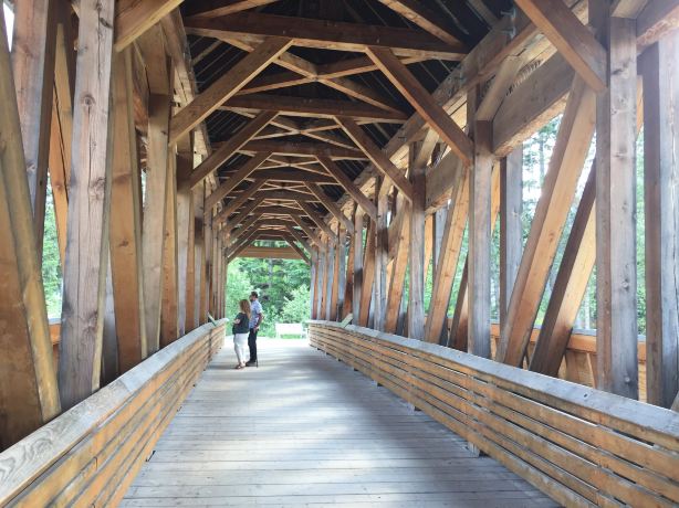 Kicking Horse Pedestrian Bridge