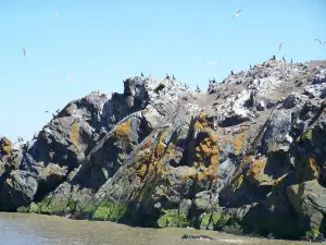 Les Croisières Lachance
