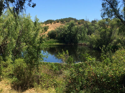 Healdsburg Ridge Open Space Preserve