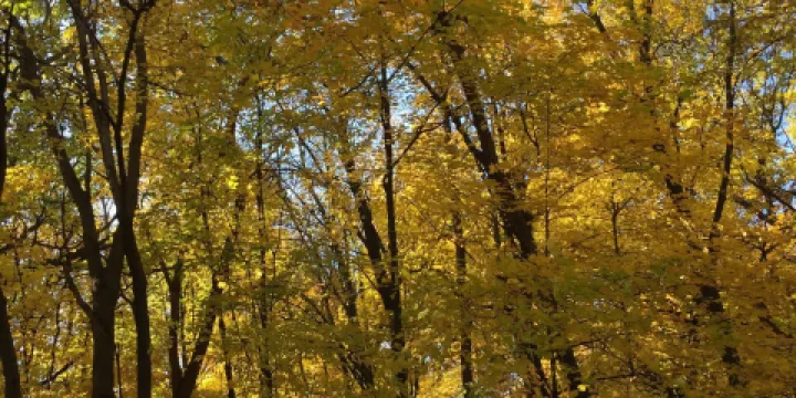 Temple of ECK Contemplation Trails